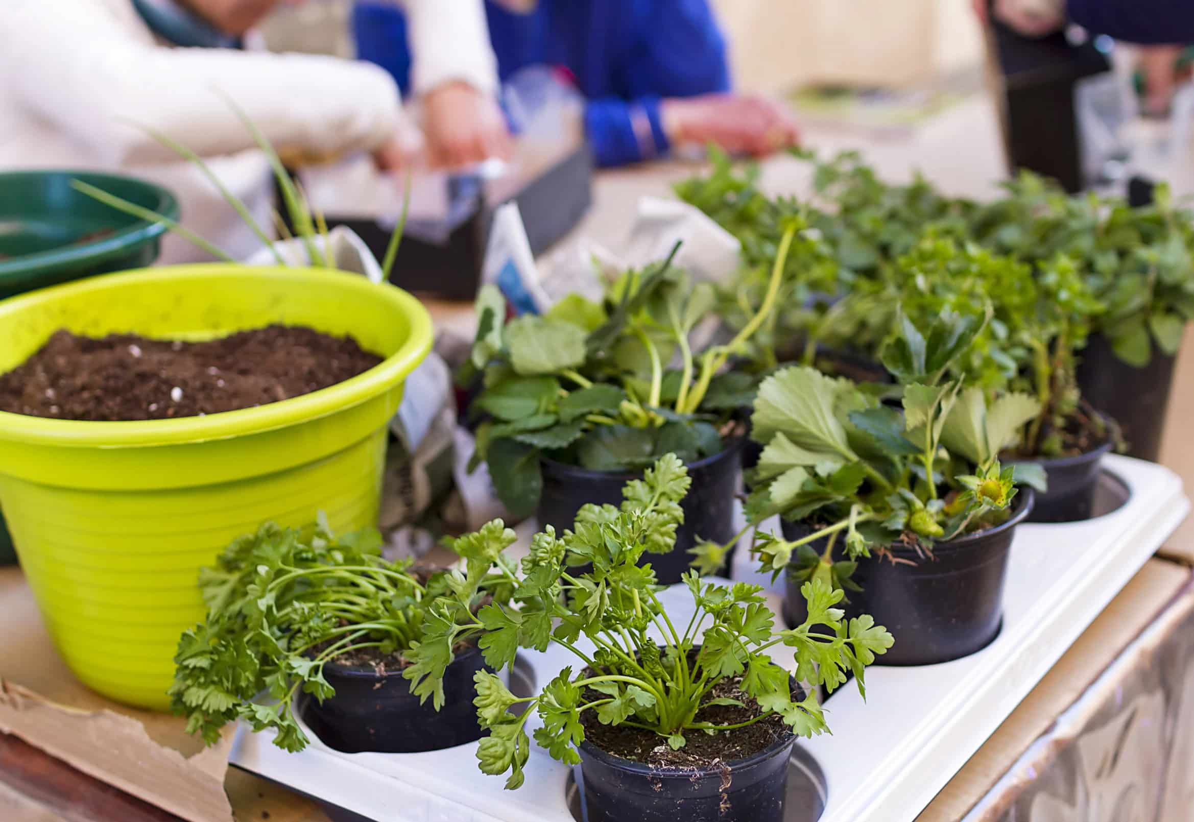 58dc5312f866419490454e0401ba589b