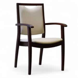 Health Dining Chair with arms