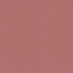 Wortley Studio Encore