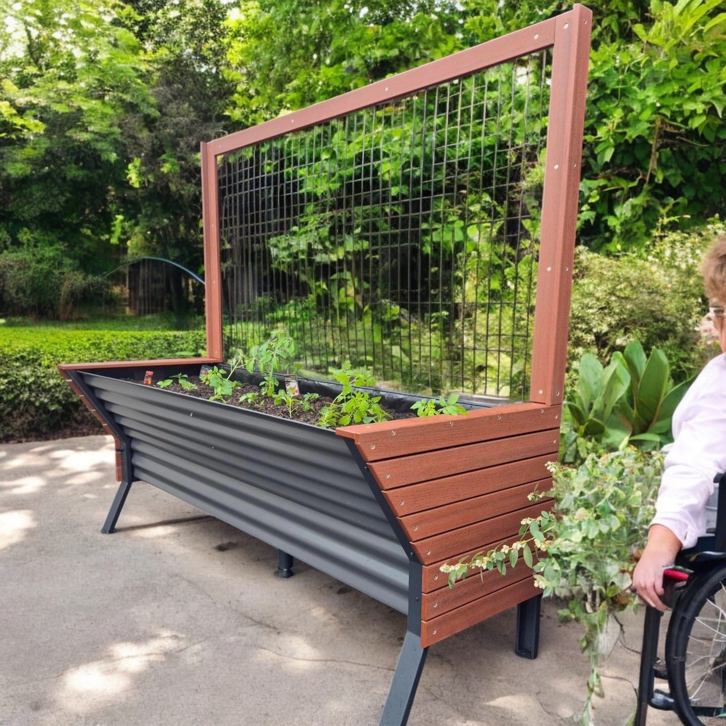 b5ba53 34086471eb8e40749fb0576ae27c5ebemv2