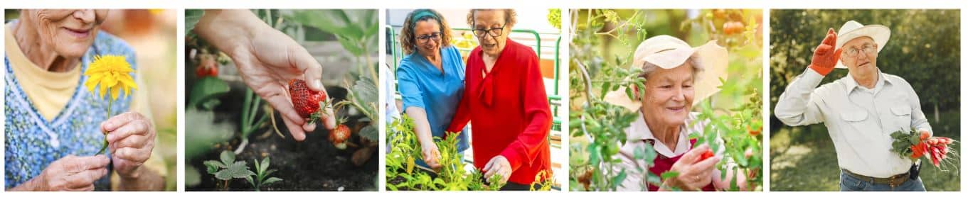 Gardening People Banner