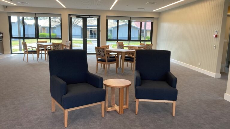 Large Aster Chairs Navy with Carrington and Marta in background scaled