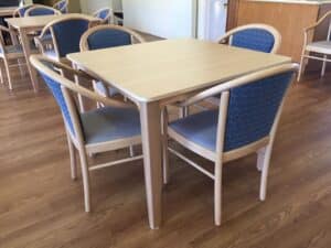 Venus Dining Table and Manuela Chairs