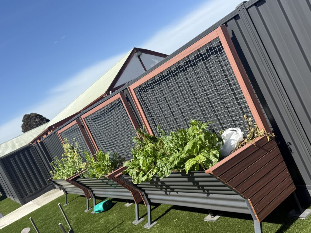 DPV Health Meadow Heights