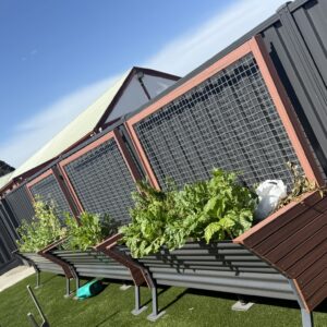 DPV Health Meadow Heights