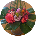 meta van der plas profile picture