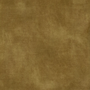 image (15)